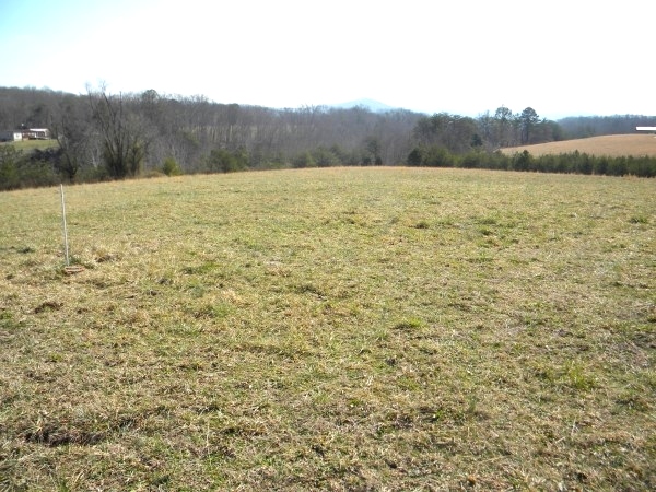 Sold! 2266 Blake's Fork, W-burg | 14 acres conveniently located near I-75 at Goldbug | house & barn & extra septic system  $99,900 