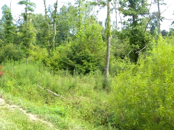 Sold!  3.4177 acres on Moore Rd in Highland Park in Williamsburg | possible multiple sites $49,000 