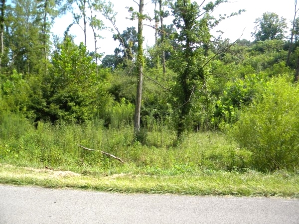 Sold!  3.4177 acres on Moore Rd in Highland Park in Williamsburg | possible multiple sites $49,000 