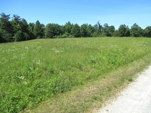 Sold!! Piney Grove, Williamsburg | Looking for a large farm or somewhere to build a subdivision?  90+/- contiguous acres $169,000 