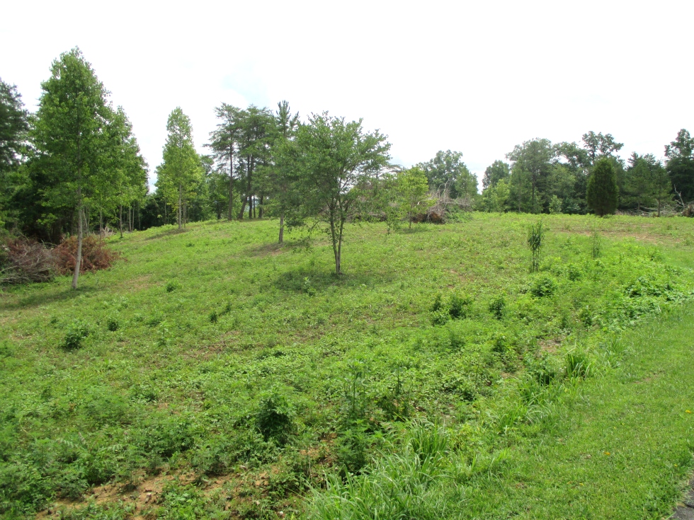 Sold! - Hwy 511 & Logan Rd., Williamsburg .79 surveyed acres located at 511 & Logan Rd. | This land is not restricted and is priced to sell. $12,500  
