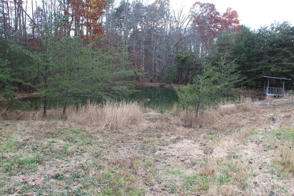 Sold! Snow White Lane | Free Gas! 11.69 acres of Windridge Farm with a pond and partly fenced. $99,000 