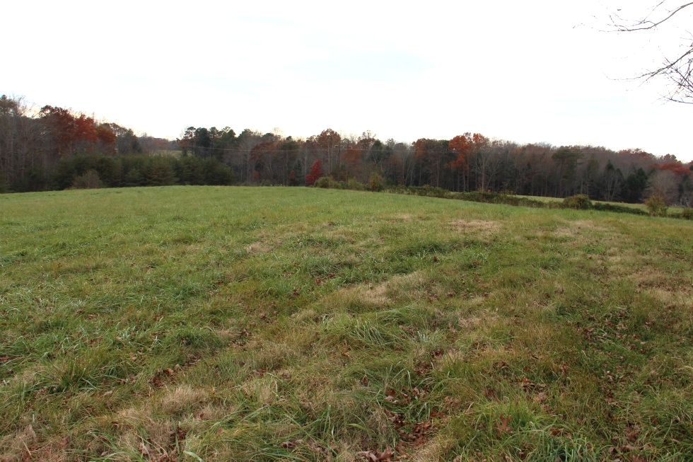 Sold! Snow White Lane | Free Gas! 11.69 acres of Windridge Farm with a pond and partly fenced. $99,000 