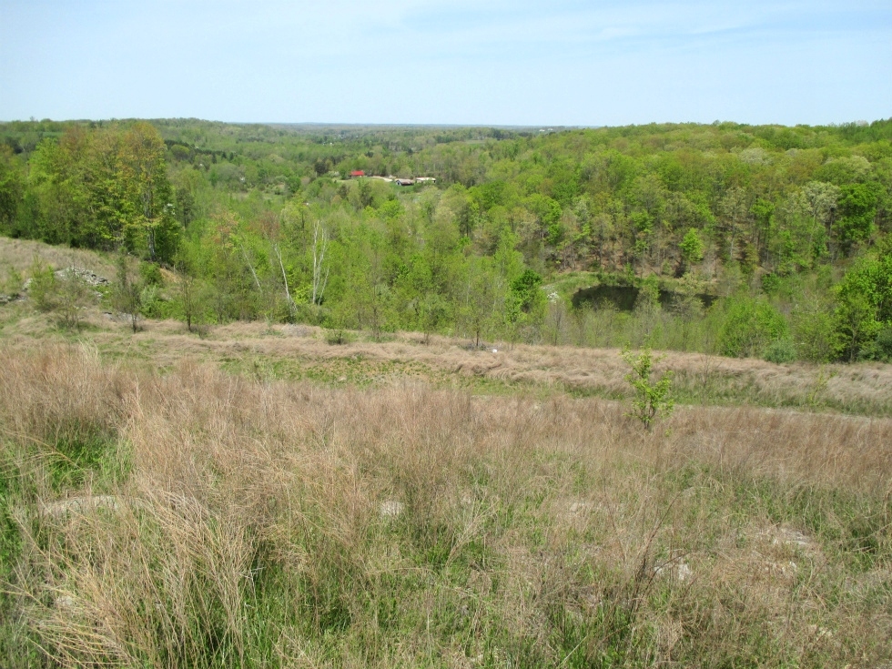 Sale Pending!!  MASON HOLLOW RD, FABER | Fabulous site for hunting, four wheeling and fishing! 