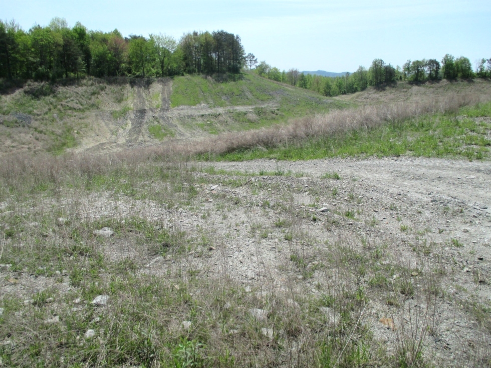 Sale Pending!!  MASON HOLLOW RD, FABER | Fabulous site for hunting, four wheeling and fishing! 