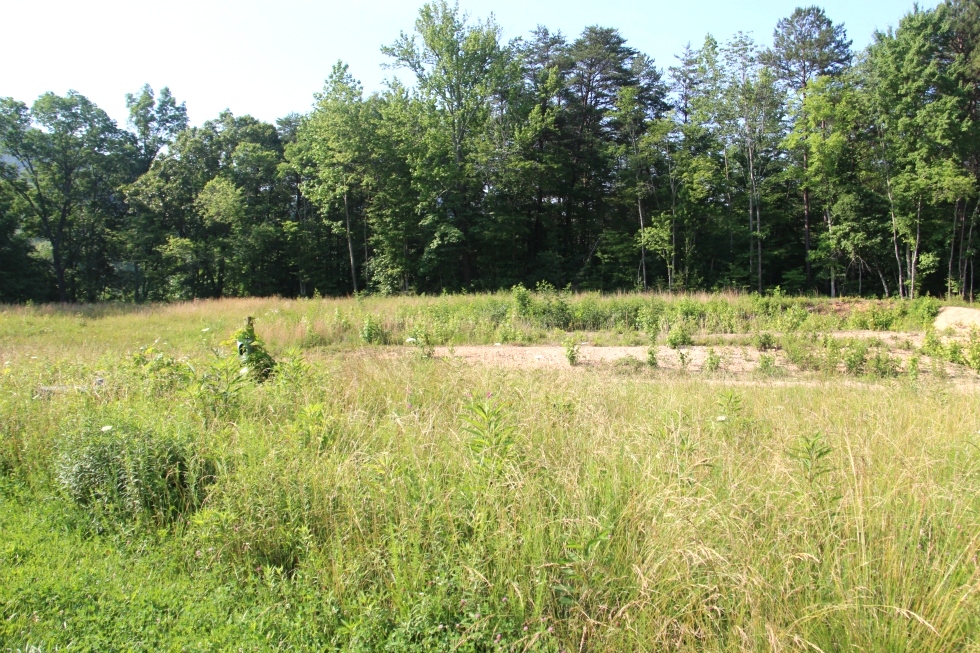 SOLD! Buc Rd., Wmsbg.| 2.3 acre lot on Buc Rd. just outside the City limits of Williamsburg.  