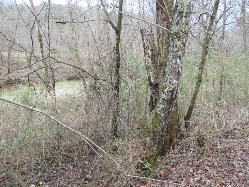 SOLD Walker Mill Dam Rd., Williamsburg, KY \ 35 acres +/- of wooded land bordering Jellico Ck. 