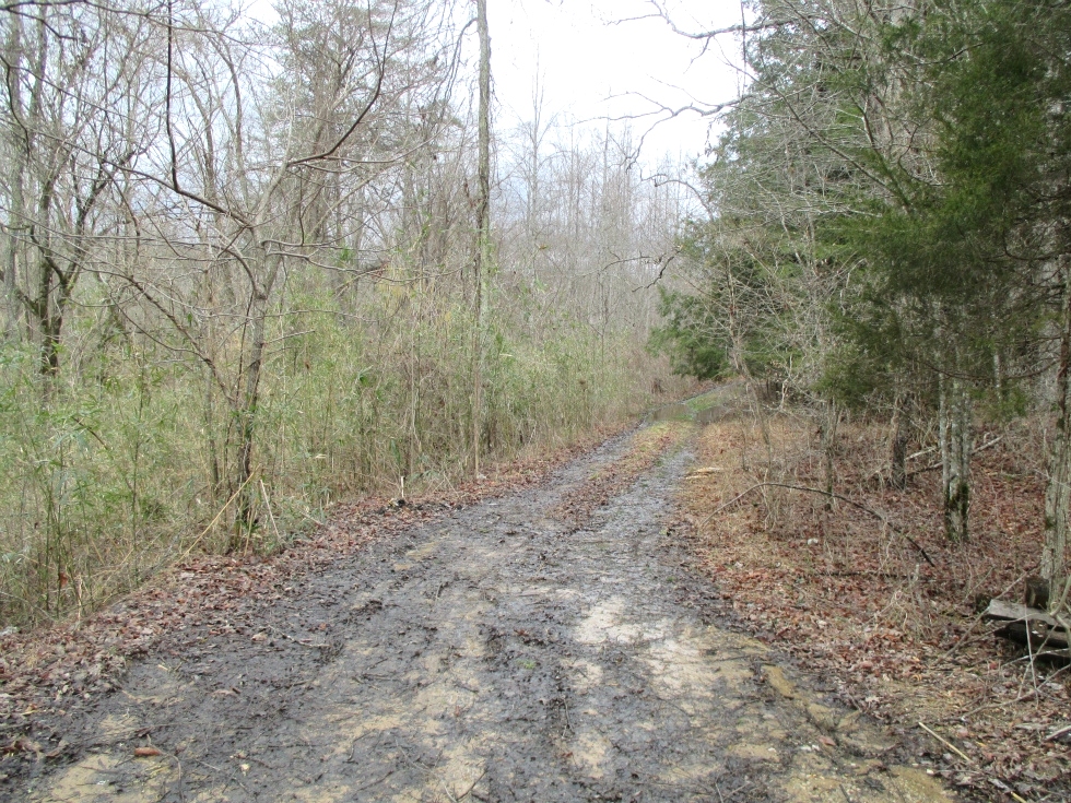 SOLD Walker Mill Dam Rd., Williamsburg, KY \ 35 acres +/- of wooded land bordering Jellico Ck. 