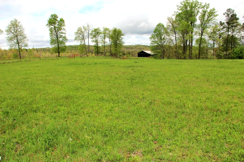 Sold! 1764 Rocky Point Rd., Williamsburg   (FREE GAS) | Ridge view farm consisting of 19.68 well maintained, surveyed and fenced acres,  
