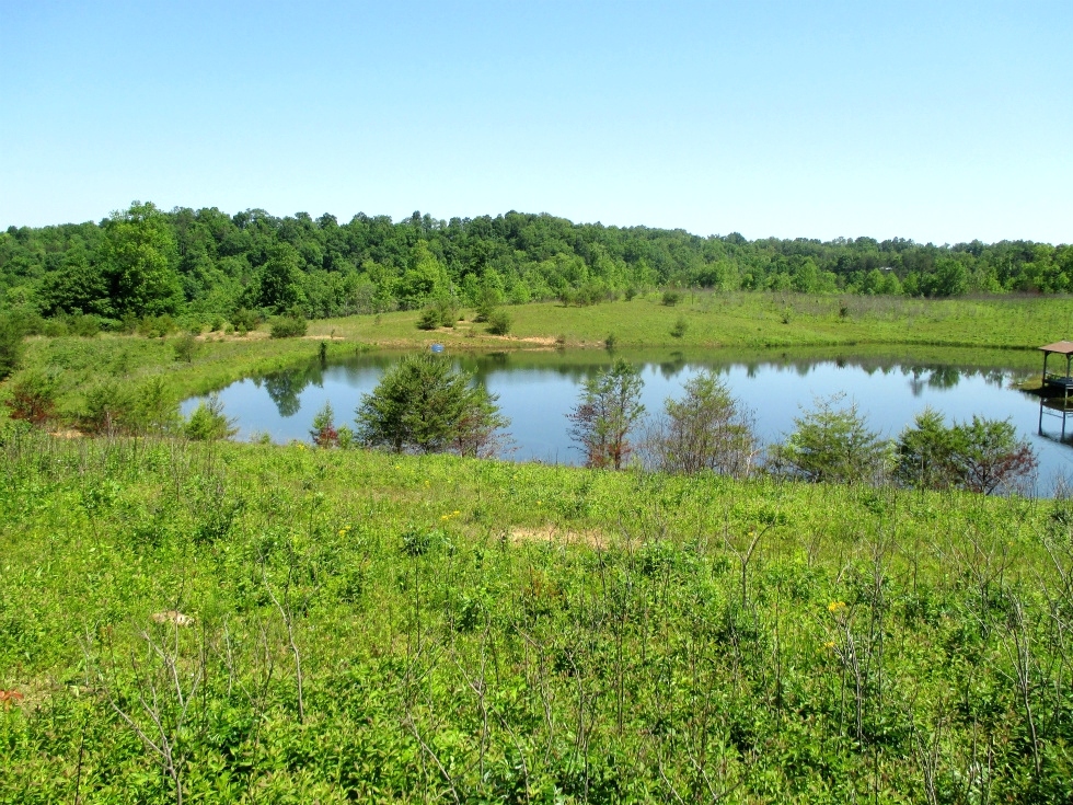 SOLD Walker Mill Road | 124 +/- acres of varying terrain with large pond and 3 gas wells. 
