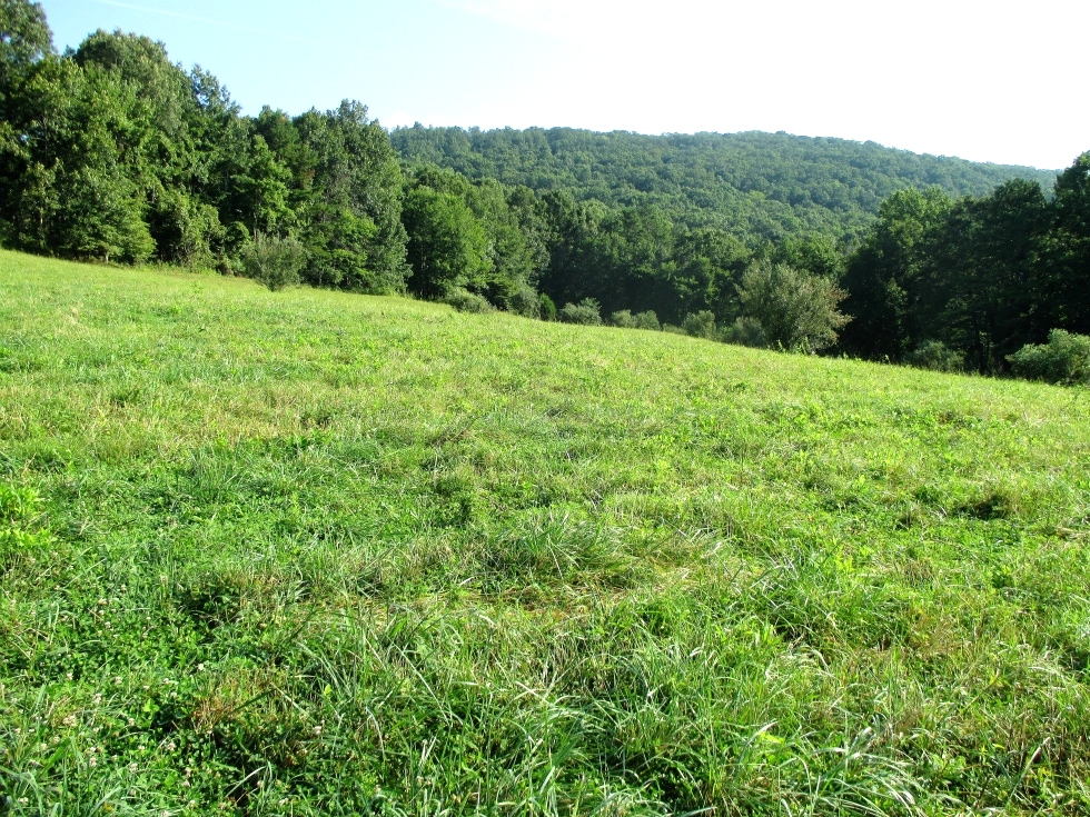 Sold! 1026 Brown’s Ck. Rd., Wmsbg  | 40 acres w/a nice house site, well and septic already on site.  