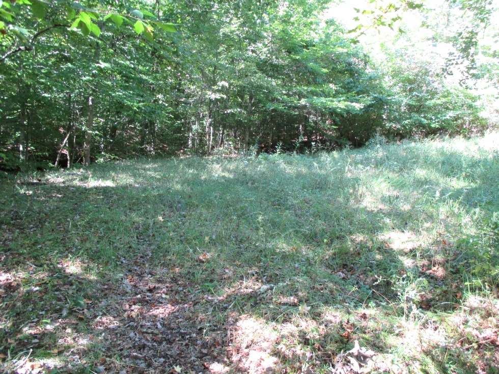 SOLD  27.436 surveyed acres on Ryan's Creek in Whitley County | Good hunting! 