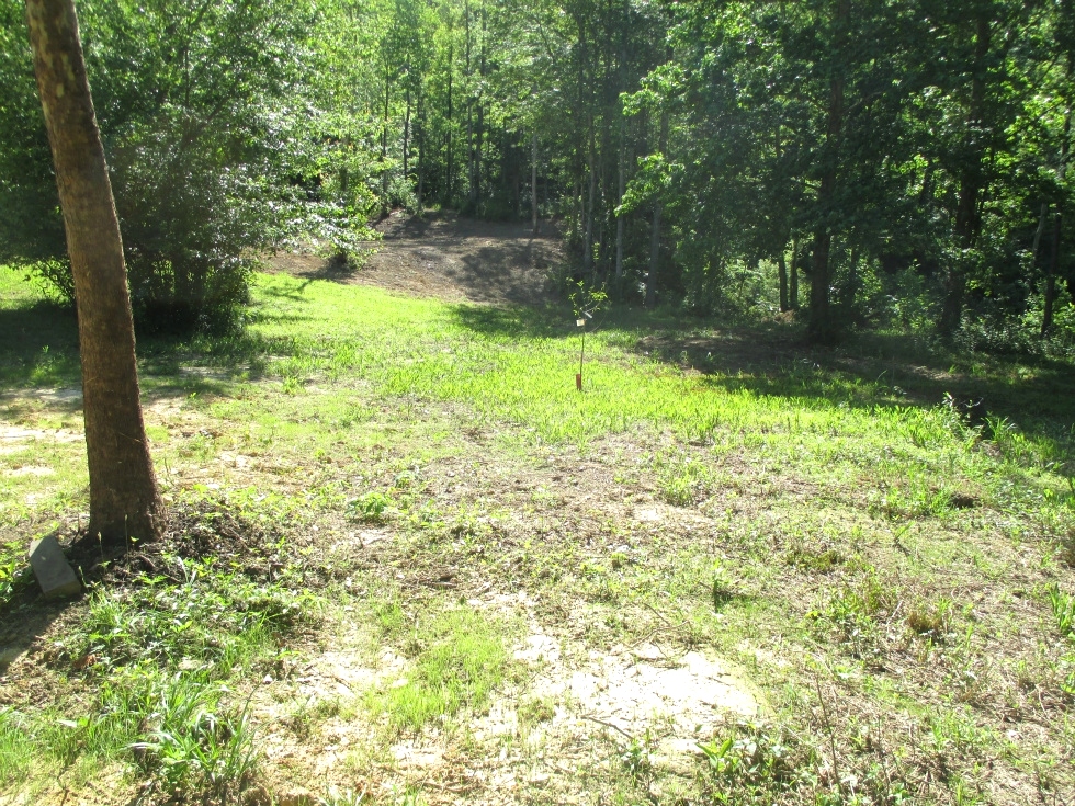 Sold! Ryan's Creek  |  25.43 acres by survey borders Daniel Boone National Forest and located on Ryan’s Creek.  