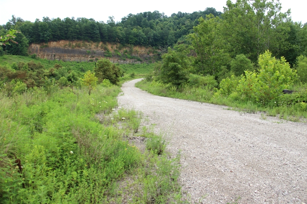 Rapier Hollow, Knox Co. | 183.72 surveyed acres in Knox Co..with great potential as a hunting and recreation property 