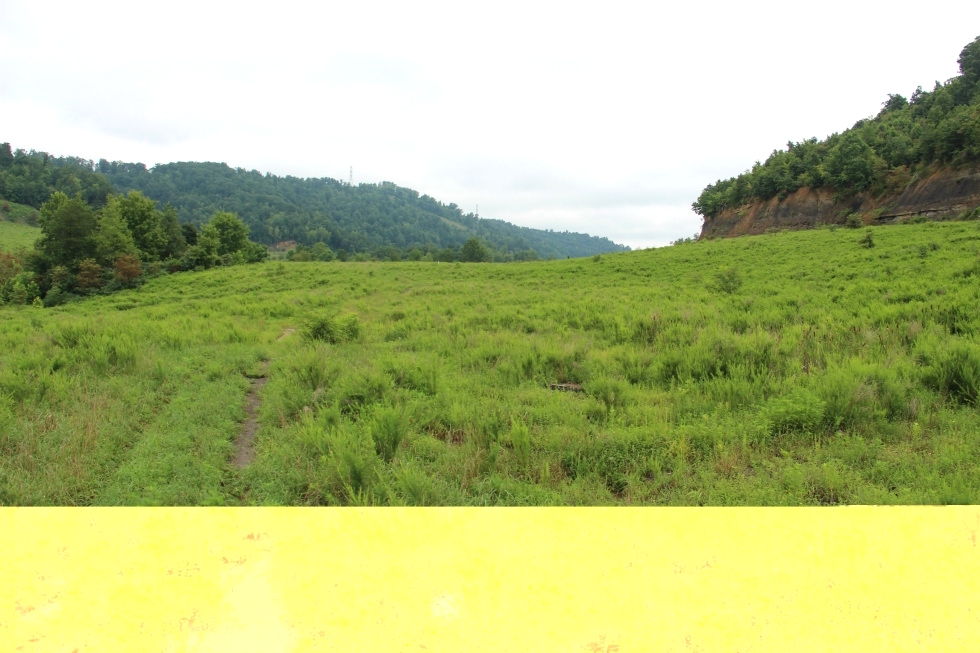Rapier Hollow, Knox Co. | 183.72 surveyed acres in Knox Co..with great potential as a hunting and recreation property 