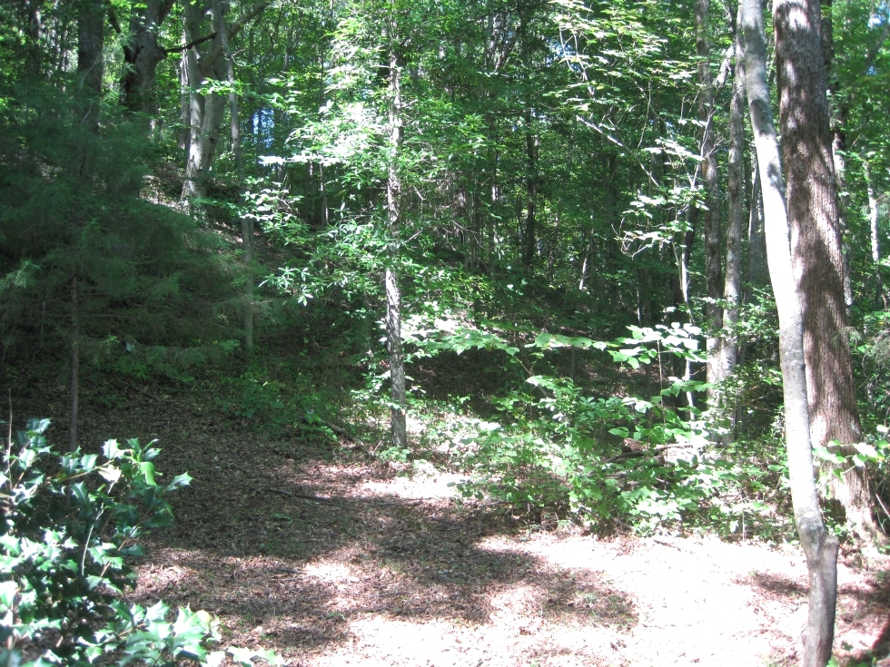 SOLD! HWY 1804, WMSBG WANT TO GO OFF THE GRID? CHECK OUT THIS 14 ACRES +/-: PARTIALLY FINISHED CABIN INCLUDED 